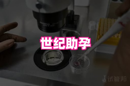 gfg孕网 4